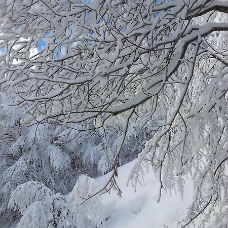 Gasthof Rifugio Del Pettirosso