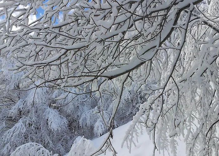 Гостевой дом Rifugio Del Pettirosso